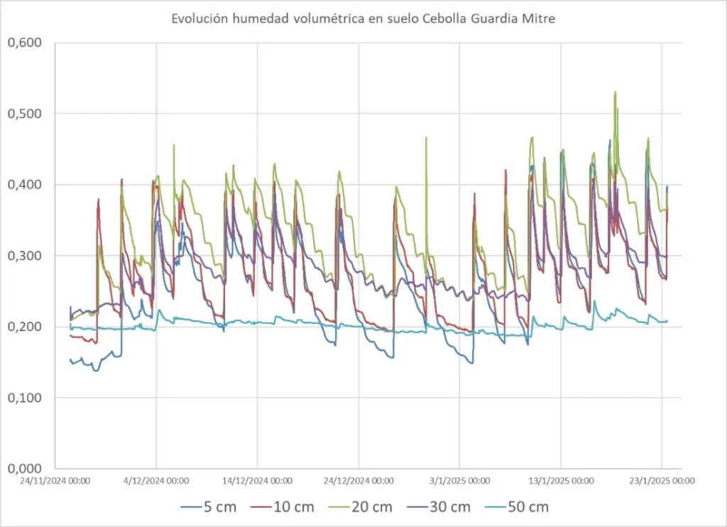 Incremento de rendimiento de cebolla bajo riego agrícola tecnificado en Argentina