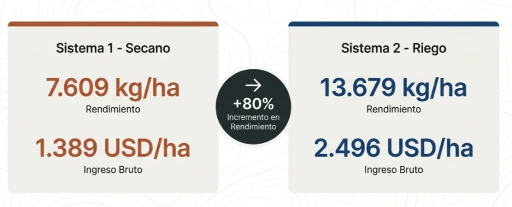 Comparación de maíz en secano y maíz con riego tecnificado agrícola en Argentina, con mayor rendimiento e ingreso bruto.
