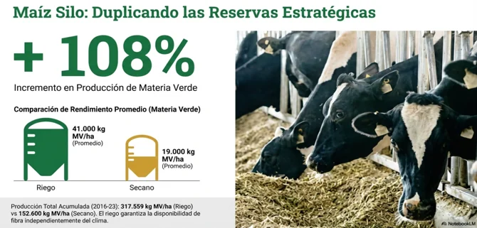 Infografía que compara la producción de maíz para silo bajo riego y en secano, con un incremento del 108 por ciento