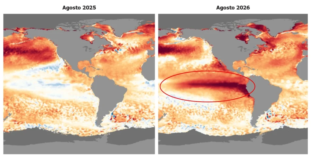 Comparación de anomalías de temperatura de la superficie del mar en agosto de 2025 y agosto de 2026, con calentamiento del Pacífico ecuatorial asociado a El Niño
