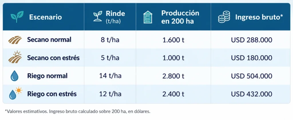 Cuadro comparativo de rendimiento, producción e ingreso bruto para maíz en secano y bajo riego, con y sin estrés hídrico

