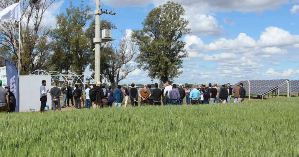 Grupo de asistentes participa de una estación de los Circuitos de Innovación a campo en INTA Manfredi
