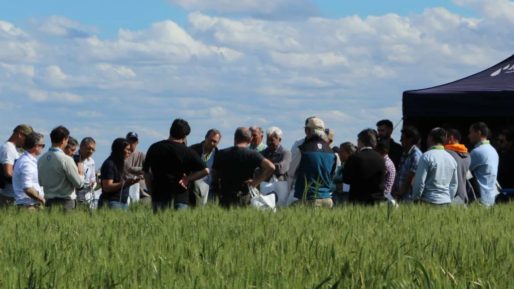 Productores y técnicos observan una demostración de tecnologías de riego en un lote de cultivo

