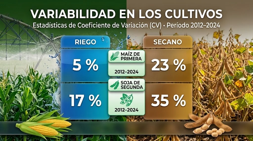 Infografía de coeficientes de variación 2012–2024: maíz 5 % con riego y 23 % en secano; soja de segunda 17 % con riego y 35 % en secano

